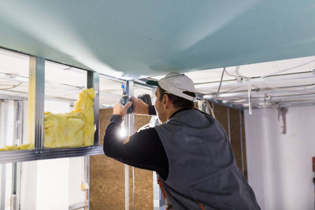 Best Cellulose Insulation in Sandersville, GA