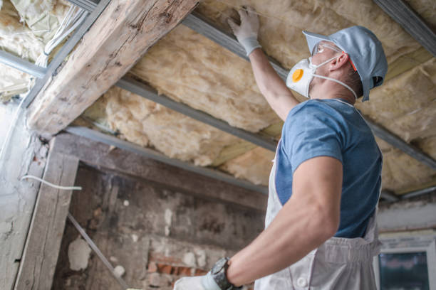 Best Specialized Insulation Services in Sandersville, GA